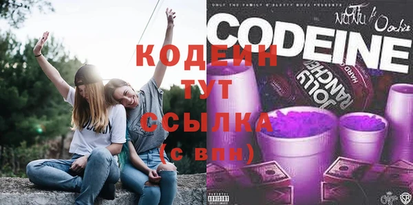тгк Абаза
