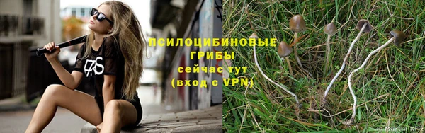 не бодяженный Абинск