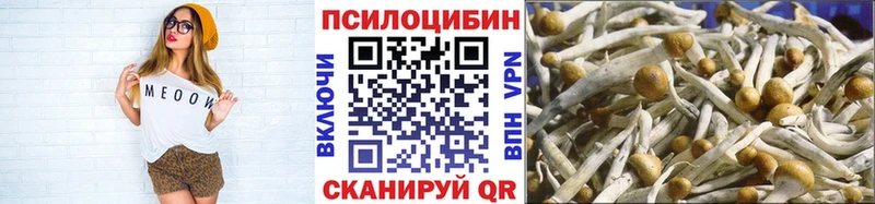 Псилоцибиновые грибы мухоморы  наркота  Нерчинск 